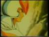 Photo Number 17